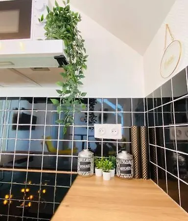 Appartement Cosy Le Havre Exterior photo