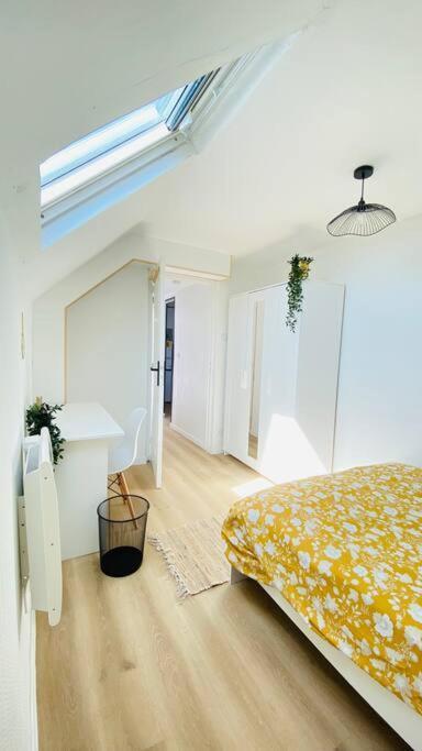 Cosy * Le Havre